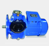 Stepless  Mechanical  Speed Variator